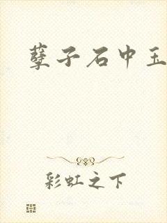 孽子石中玉