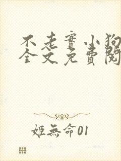 不老实小狗沈渡全文免费阅读最新章