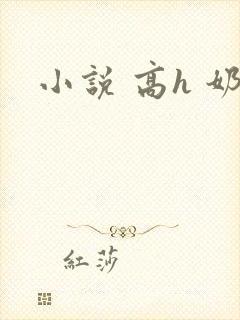 小说 高h 奶