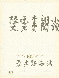 陆晚李翊小说全文免费阅读无弹窗
