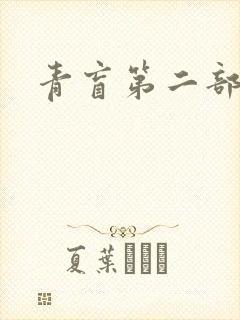 青盲第二部封面
