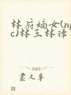 林府嫡女(npc)林玉林璋