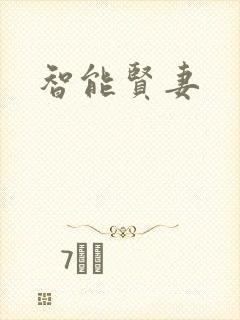 智能贤妻