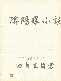 阴阳眼小说封面
