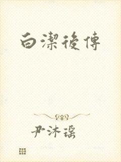 白洁后传封面