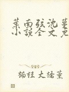 叶南弦沈蔓歌的小说全文免费阅读
