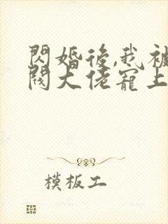 闪婚后,我被财阀大佬宠上天