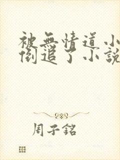 被无情道小师弟倒追了小说免费阅读