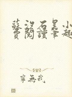 苏汐石昊小说免费阅读笔趣阁
