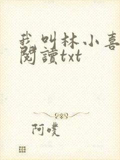 我叫林小喜免费阅读txt