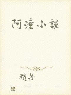 阿潼小说封面