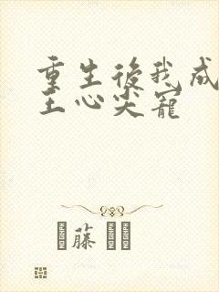 重生后我成了傻王心尖宠