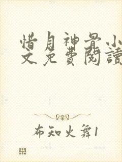 惜月神骨小说全文免费阅读封面