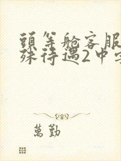 头等舱客服的特殊待遇2中字