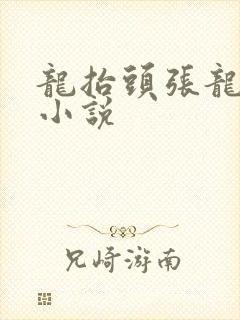 龙抬头张龙周晴小说