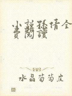 小说孙倩全文免费阅读