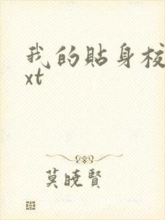 我的贴身校花txt封面