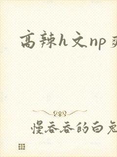 高辣h文np爽