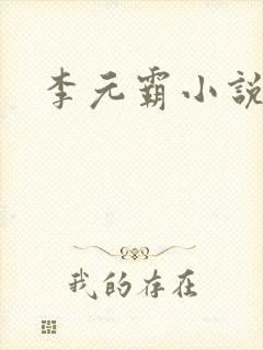 李元霸小说封面