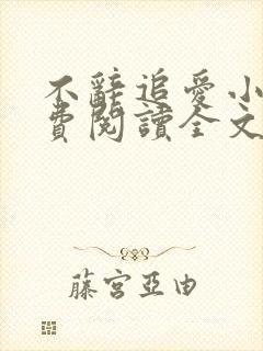 不辞追爱小说免费阅读全文