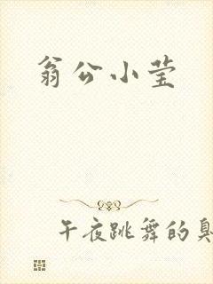 翁公小莹
