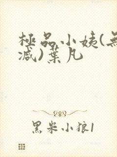 极品小姨(无删减)叶凡