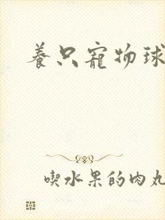 养只宠物球