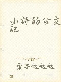 小诗的公交车日记
