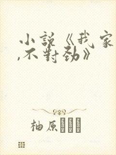 小说《我家娘子,不对劲》