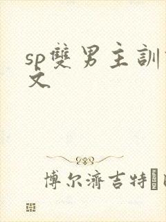 sp双男主训诫文