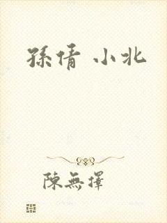 孙倩 小北封面