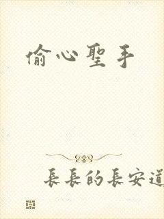 偷心圣手