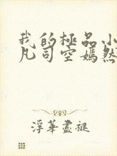 我的极品小姨叶凡司空嫣然小说免费阅读