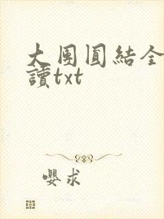 大团圆结全文阅读txt
