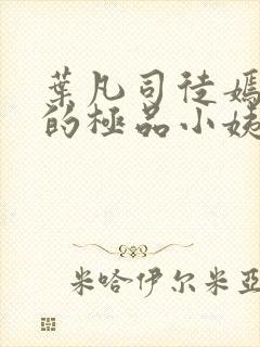 叶凡司徒嫣然我的极品小姨完整封面