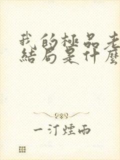 我的极品老婆大结局是什么