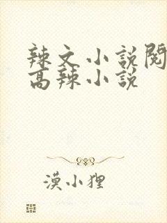 辣文小说阅读网高辣小说