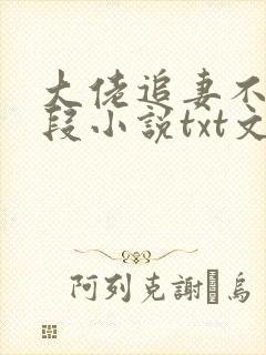 大佬追妻不择手段小说txt文本下载