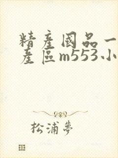 精产国品一二三产区m553小说封面