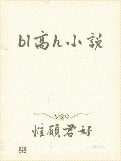 bl高h小说