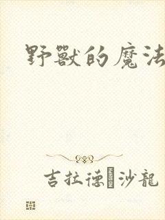 野兽的魔法师