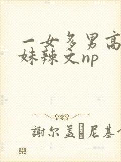 一女多男高h兄妹辣文np