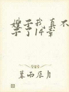 嫂子我真不是傻子了14章封面