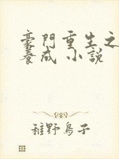 豪门重生之悍妻养成 小说
