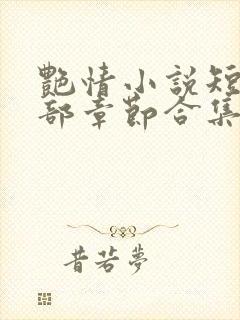 艳情小说短篇全部章节合集免费阅读