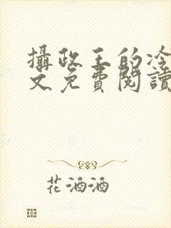 摄政王的冷妃全文免费阅读封面