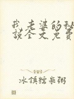 我老婆的秘密小说全文免费阅读