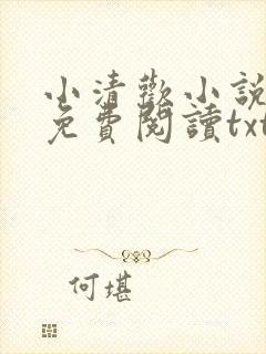 小清欢小说全文免费阅读txt