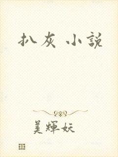 扒灰 小说封面