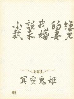 小说我的绝色总裁未婚妻免费阅读